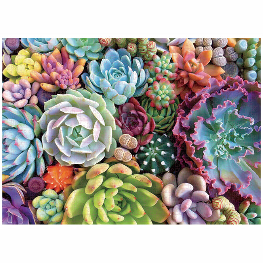 1000 Pieces Succulent Plants